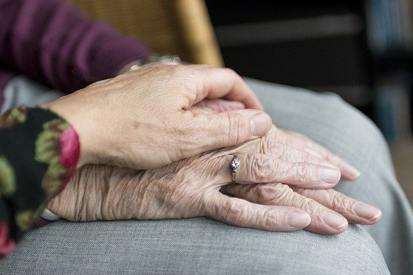 Parkinson-Forschung ohne Tierversuche