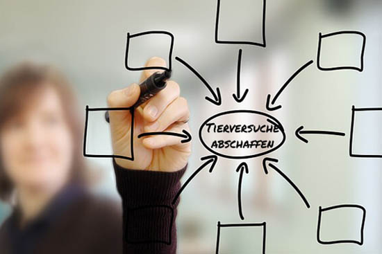 Tierversuchsfreie Forschung