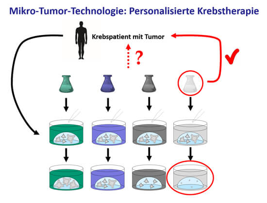 Schaubild personalisierte Krebstherapie