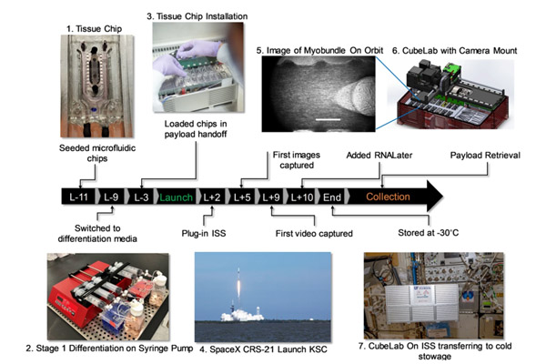 iss timeline parafati 2023