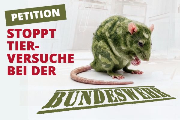 Stoppt Tierversuche bei der Bundeswehr!