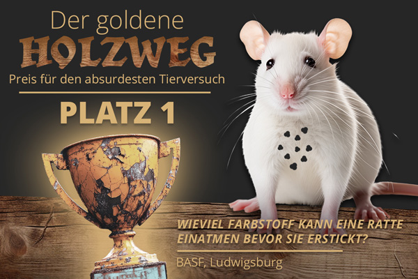 der goldene holzweg gewinner
