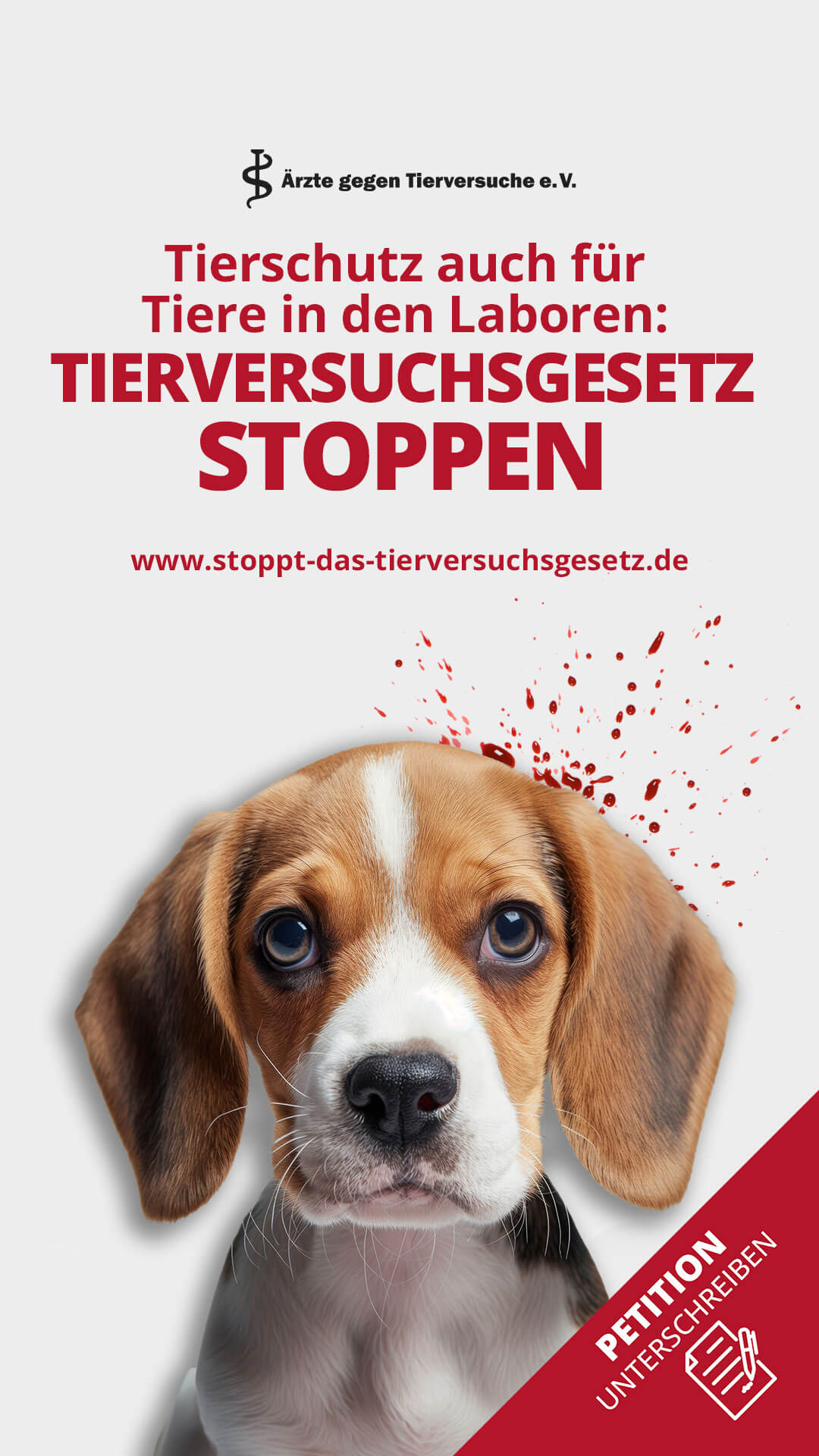 tierversuchsgesetz story
