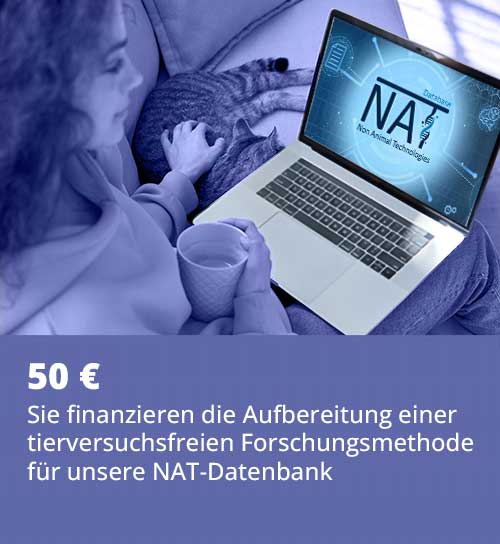 spendenzweck 50
